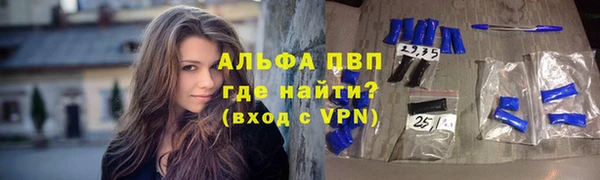apvp Надым
