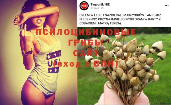 дживик Наволоки