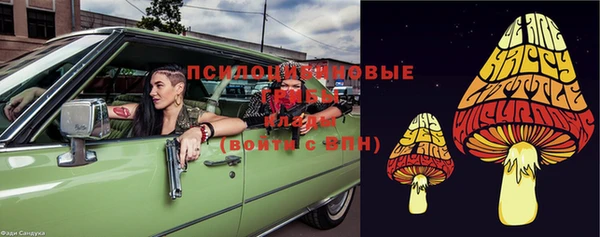 дживик Наволоки