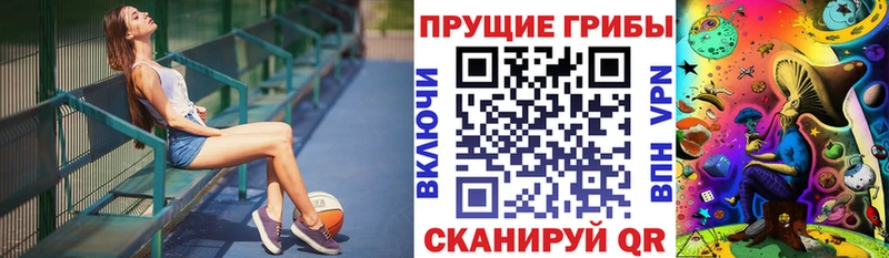Галлюциногенные грибы Magic Shrooms  купить наркотики цена  МЕГА ссылки  Харабали 